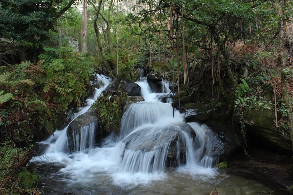 Poza da Moura